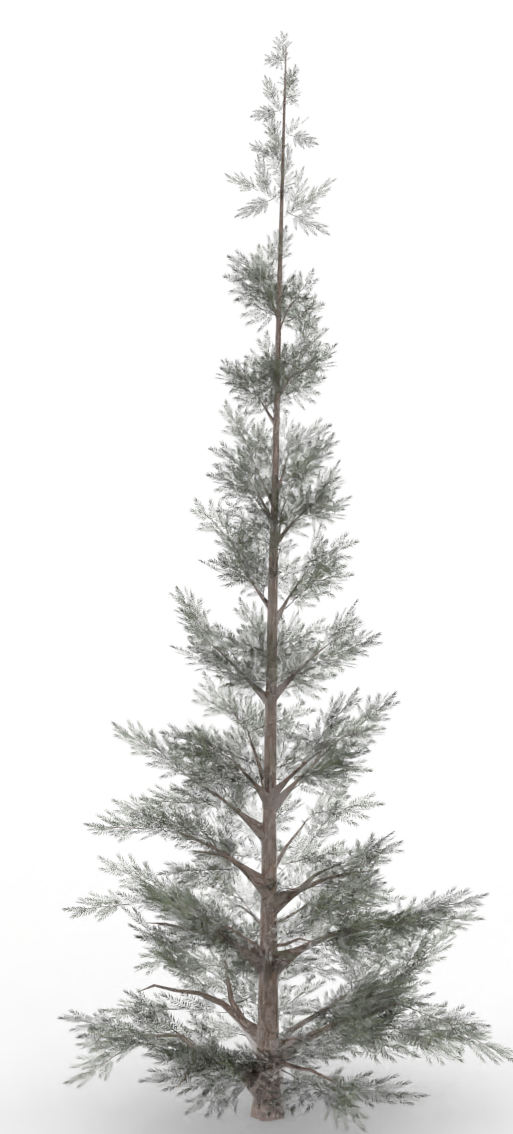 fir.treeit.2025-09-28_17-02-15.png