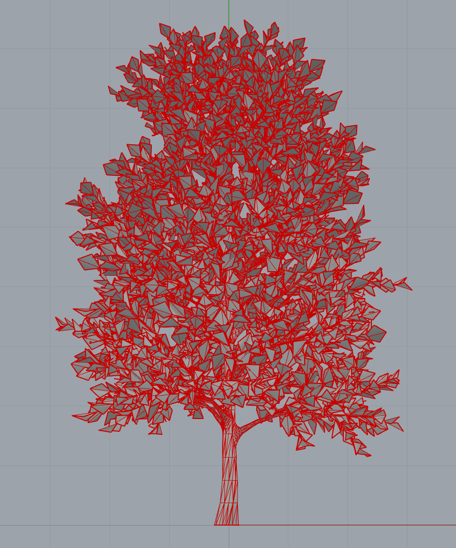 maple.treeit.2025-09-28_16-29-09.png