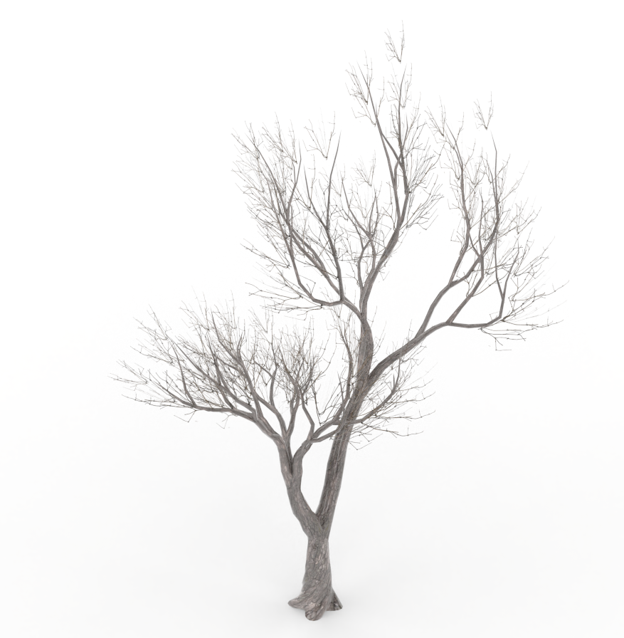 wind_swept.treeit.2025-09-28_17-31-38.png